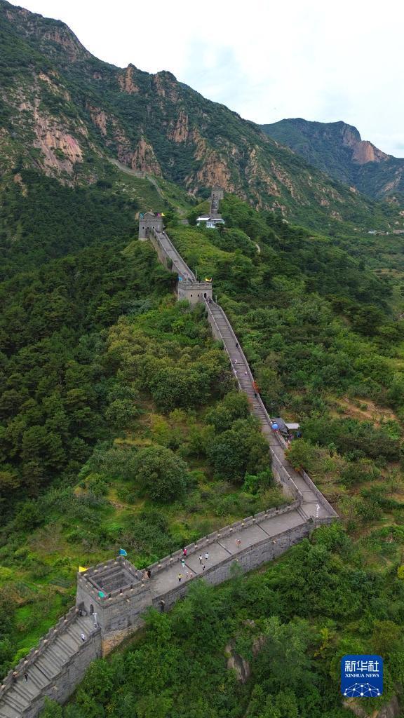 水果机怎么压不赔